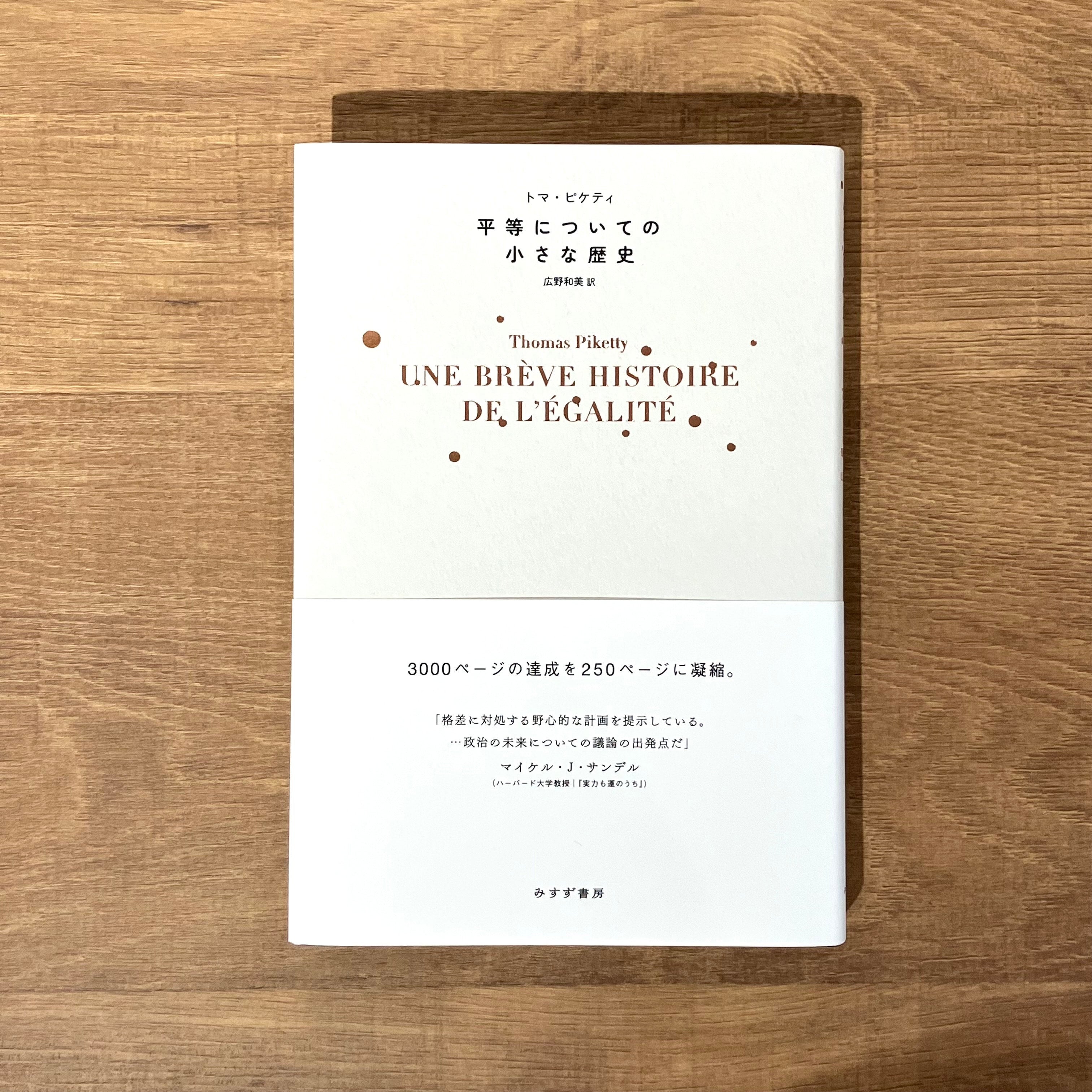 2024激安通販 透明書店 Web Shop 政治学